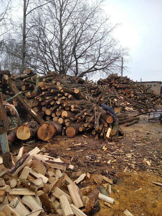 Дрова  сосна, осина, ольха Дуб Помесь лиственницы