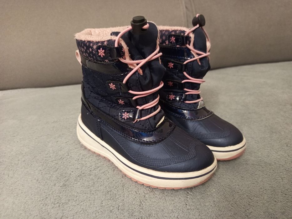 Śniegowce lupilu r. 27