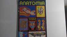 Caderneta Anatomia coleção didática de 240