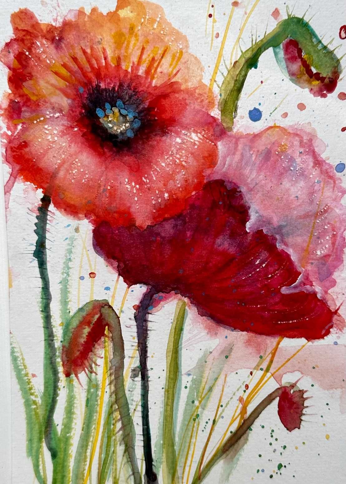 Pintura a aguarela com moldura /Poppies Watercolor Painting with frame