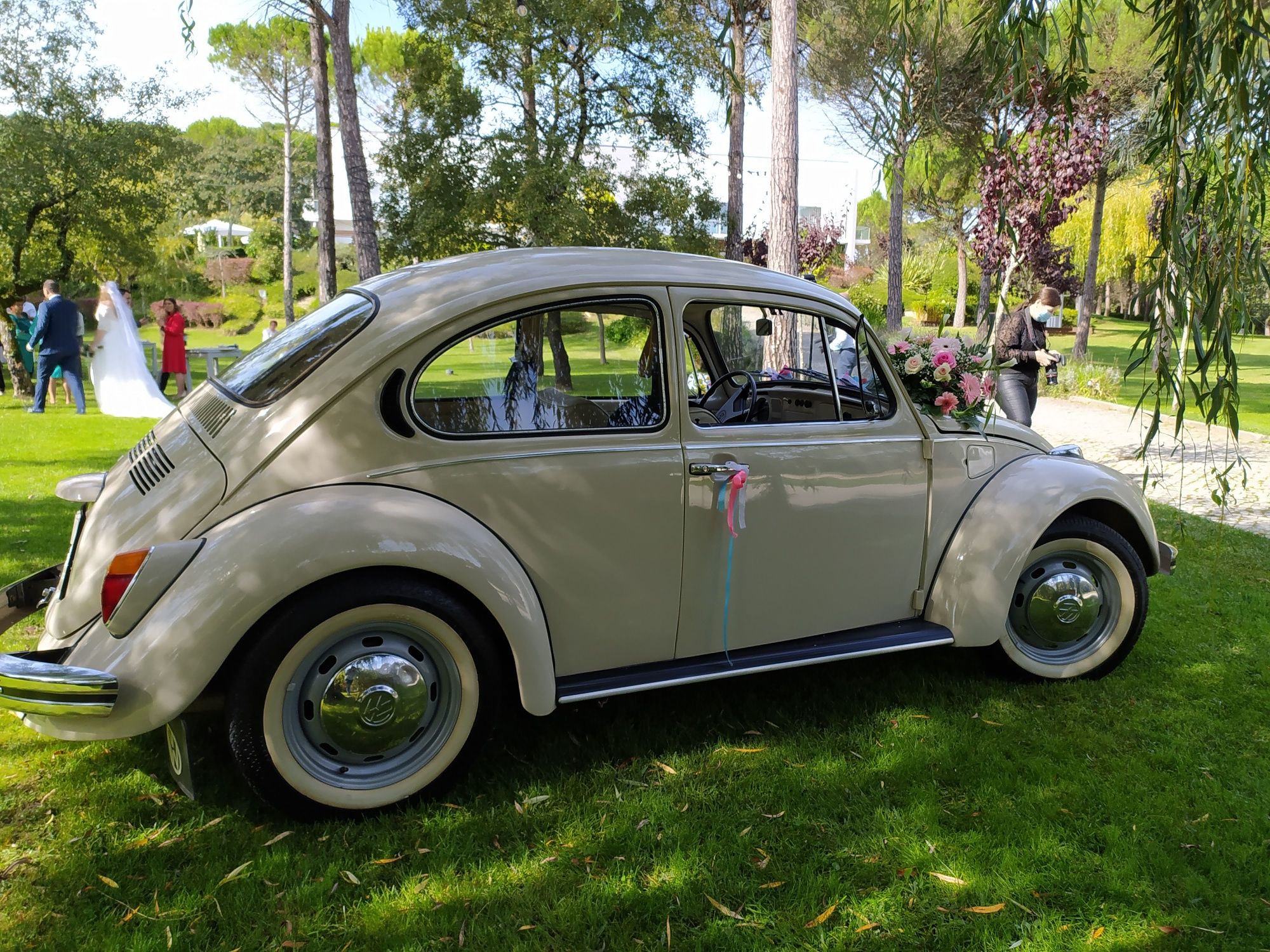 Carro para eventos