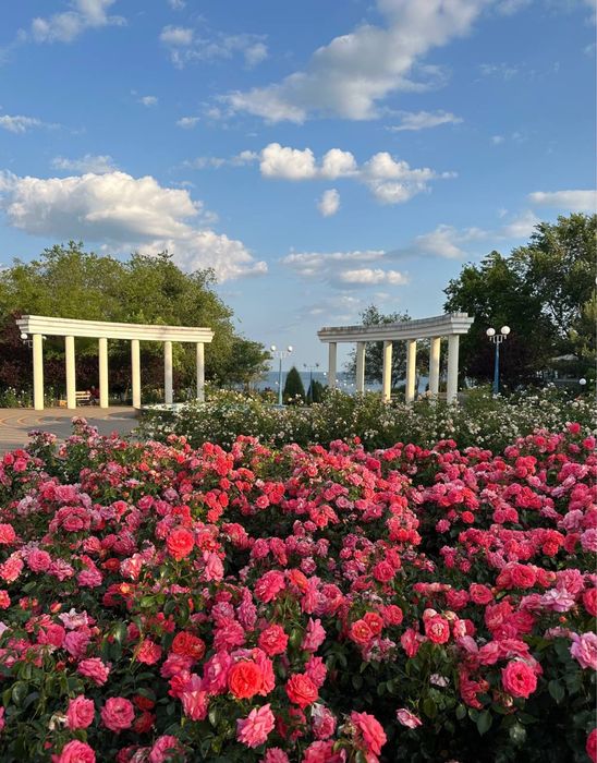 Шикарний вид Перша лінія моря Оксамитовий сезон