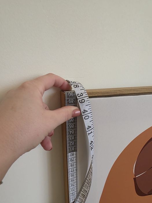 Quadro papagaio homa