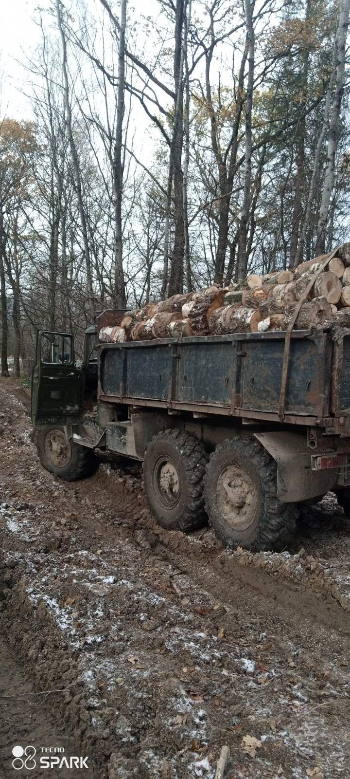 Дрова різних порід