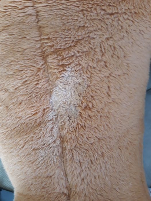 Urso Peluche grande