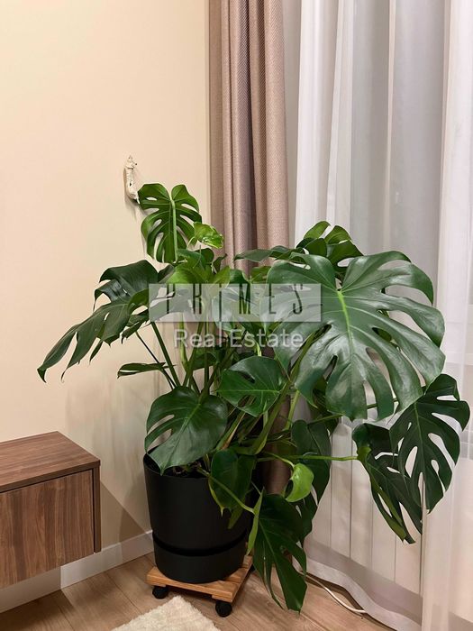 Оренда 2к квартири, вул. Борисоглібська, 9/15, Поділ, є укриття