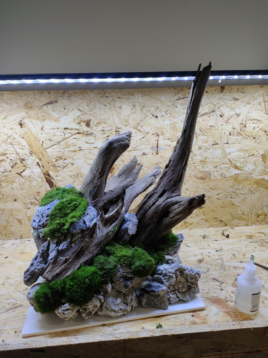 Aranżacja do akwarium Drzewo Bonsai