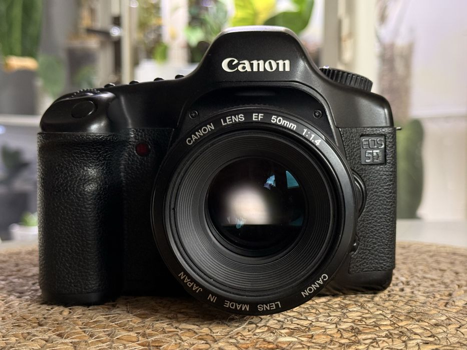 Canon EOS 5D mk1 classic (71 tys zdjęć)