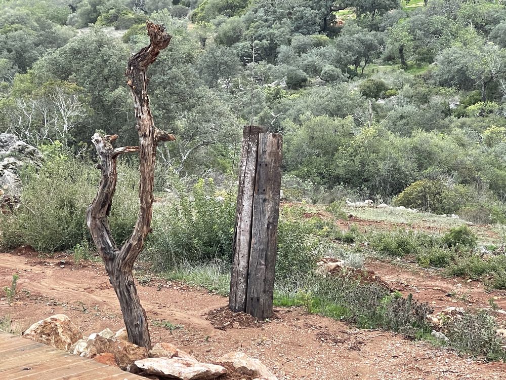 Terreno rustico Loule 6700m2, vista mar, fossa septica, troco p/ carro