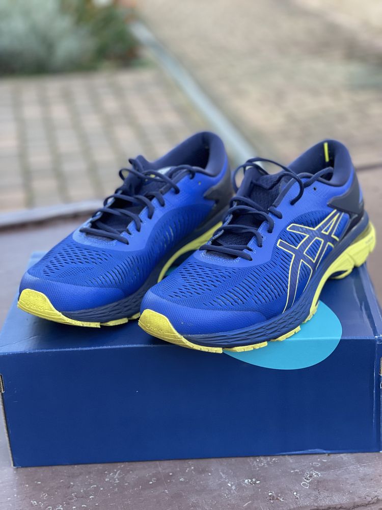 Asics gel kayano 25