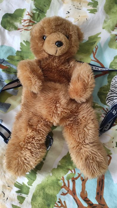 Plecaczek miś zabawka