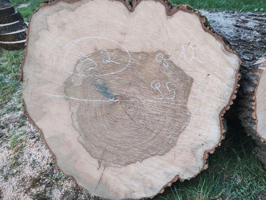 Plastry foszty deski orzech włoski jesion pod żywice