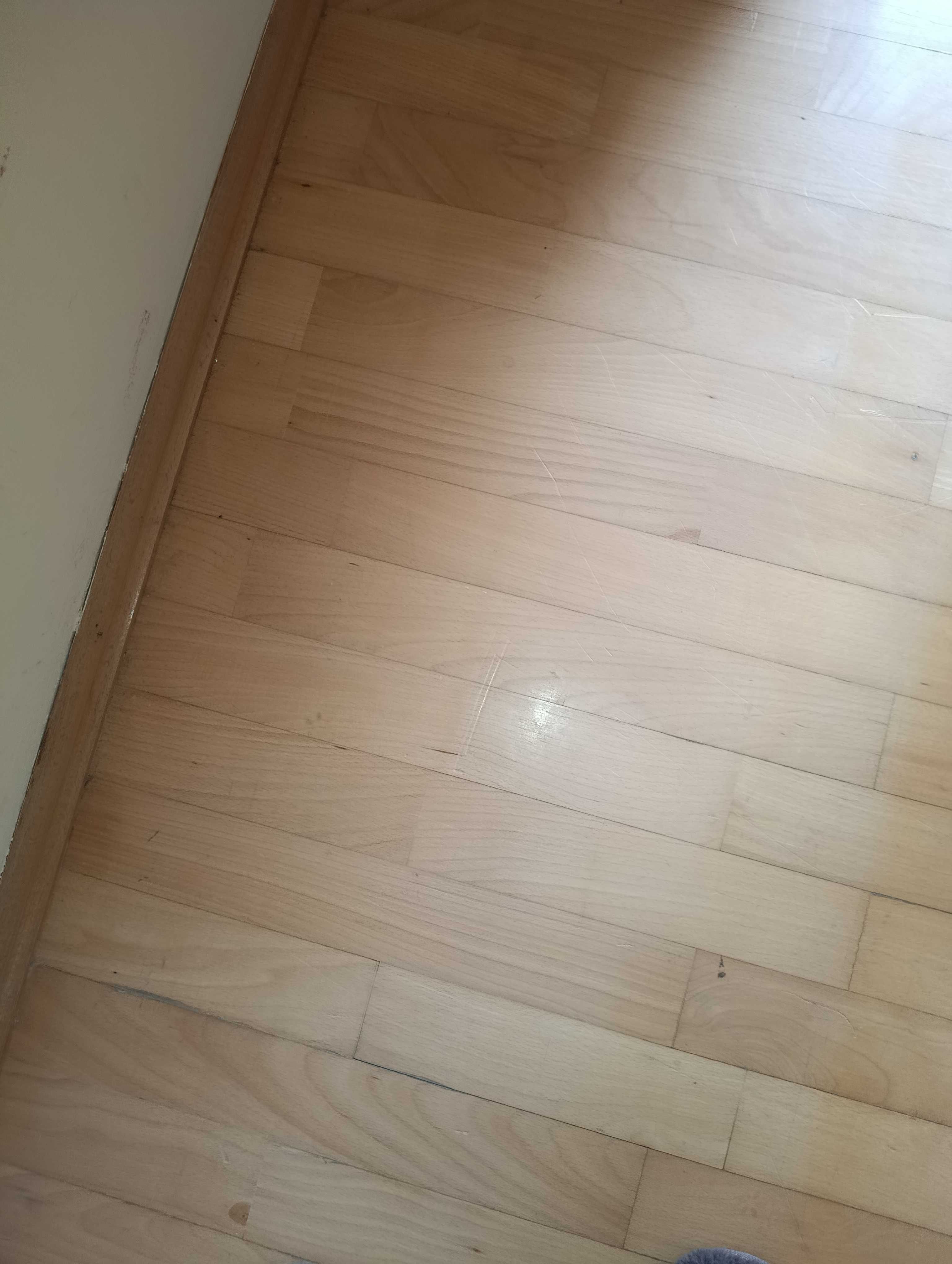 parkiet używany bardzo bardzo pilnie sprzedam
