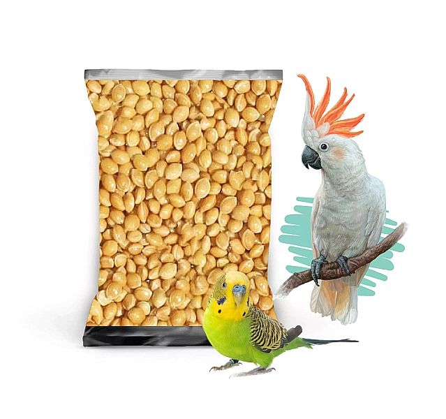 20kg Proso żółte złote karma pasza pokarm dla ptaków papug falistej