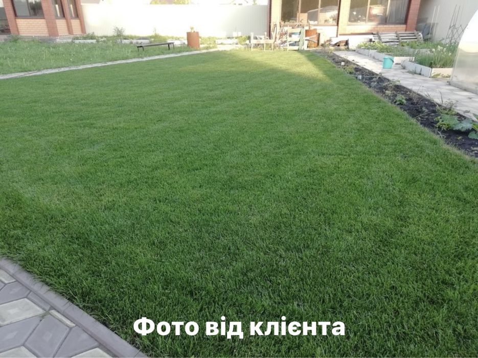 Газонная трава Универсальная 4 кг / трава для газона / семена / газон