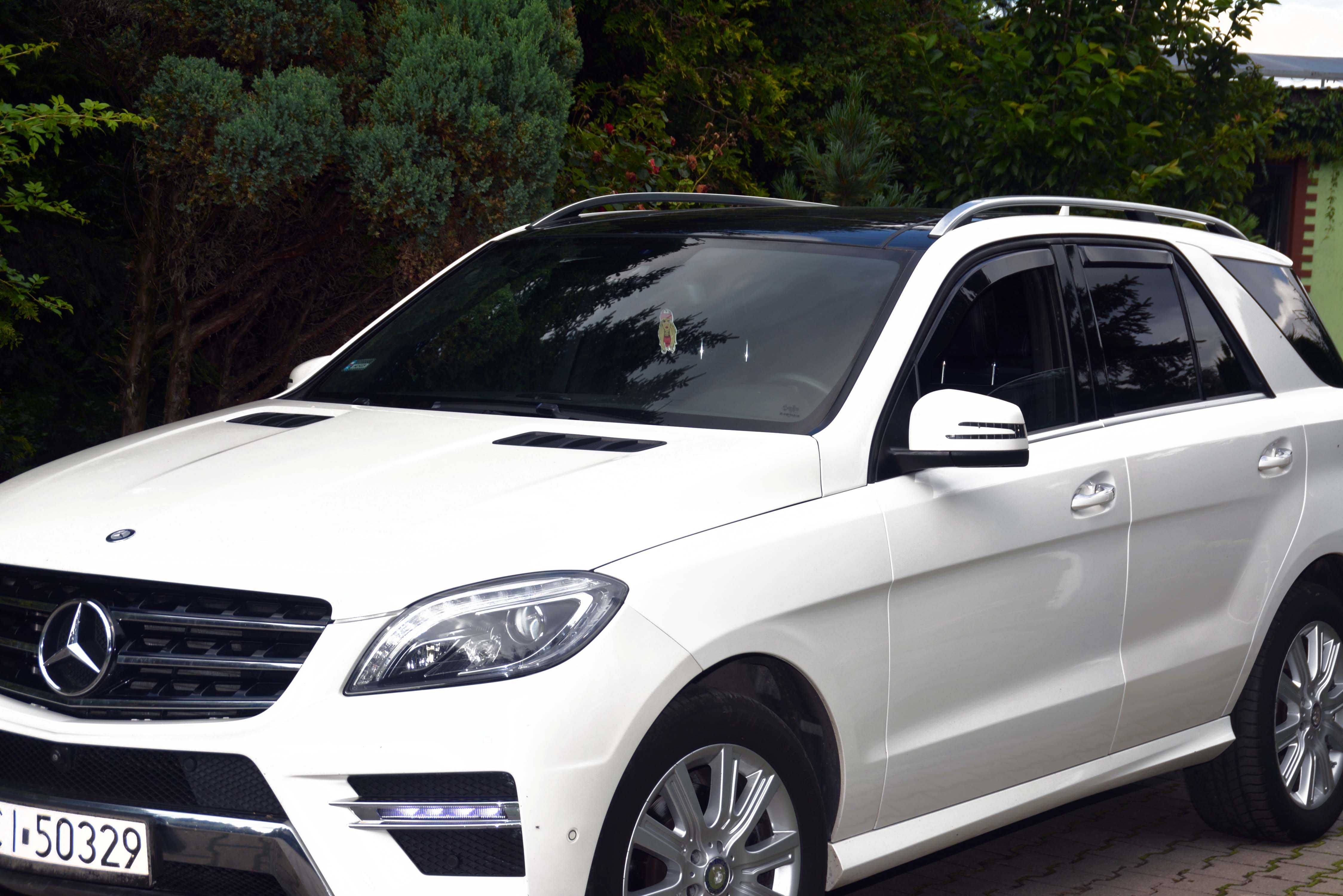 Mercedes -Benz ML350 Blue Tec 4-Matic  W166 Szklany dach