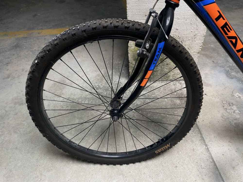 Bicicleta Estrada desportiva Team Adulto Velocidades