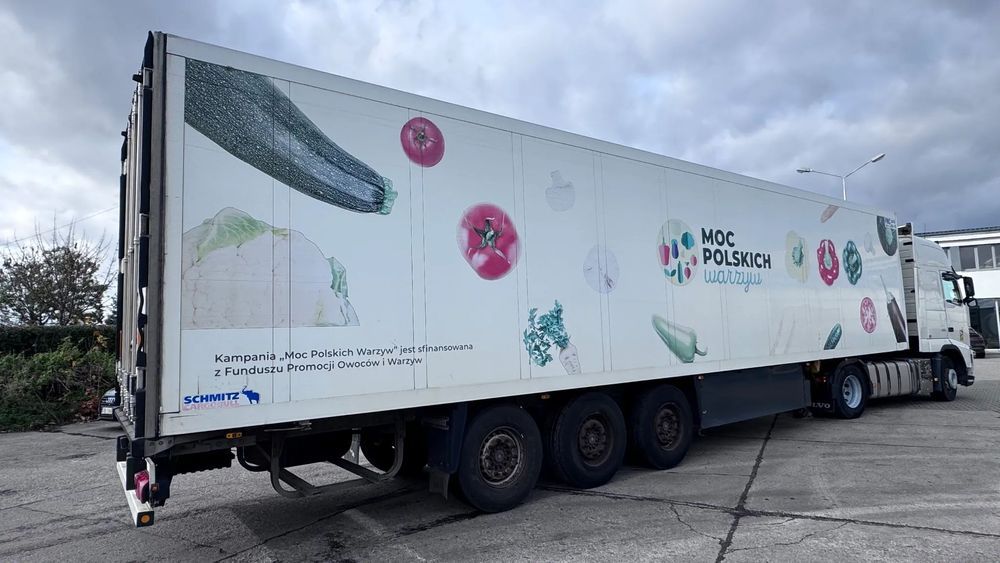 Schmitz Cargobull SKO 24 Thermo King SL400  5277 mtg scianka 7 cm tarcza  Thermo King Sl 400 tylko 5277  spalinowo elektryczny SAF oś podnoszona