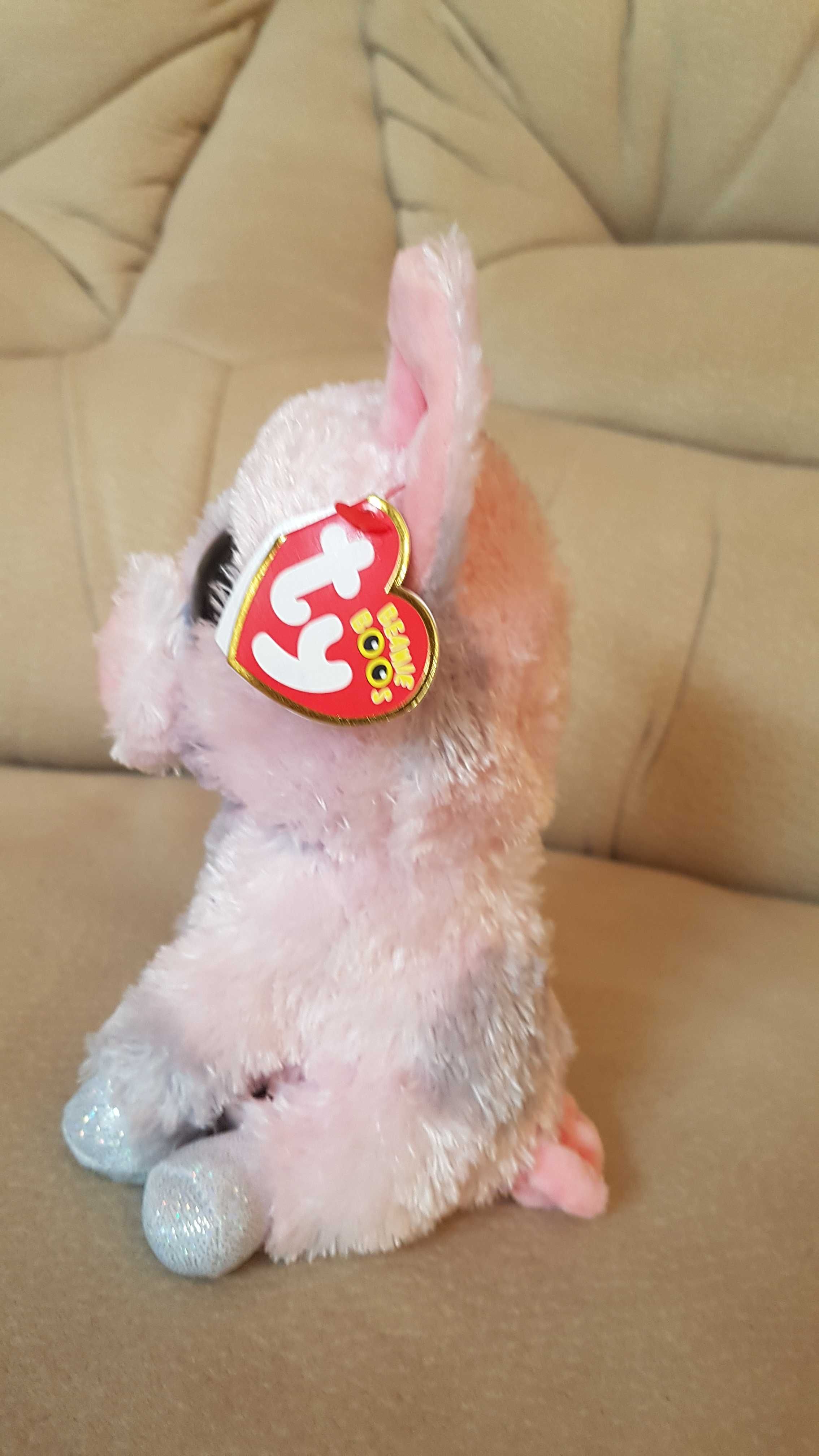TY Beanie Boos глазастик свинка, поросенок, хрюшка HAMBONE 15 см