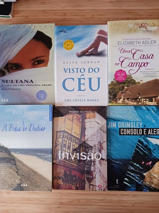Lote de 24 livros temas e escritores diversos