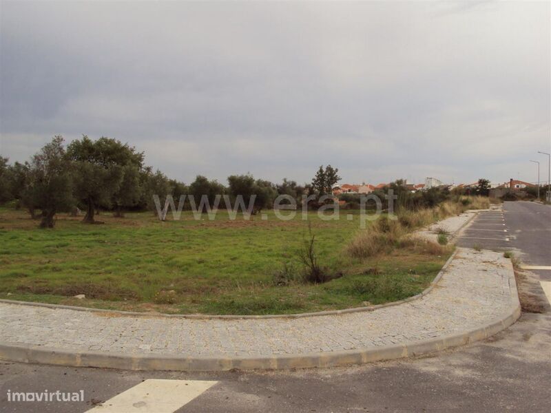 Lote / Fundão, Atalaia do Campo