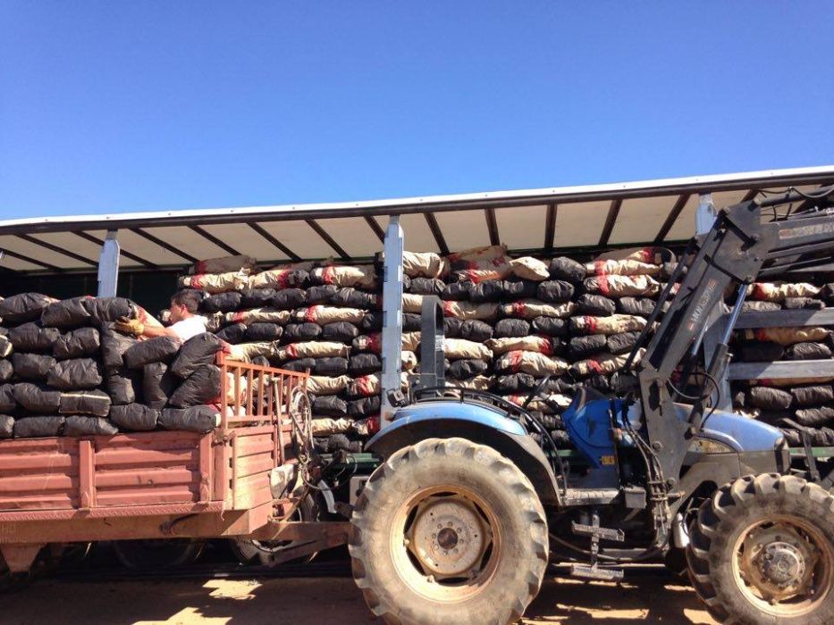 carvão vegetal vende-se