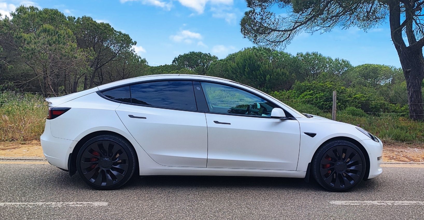 Tesla Model 3 Performance Dual Motor | Nacional  | 61.000kms