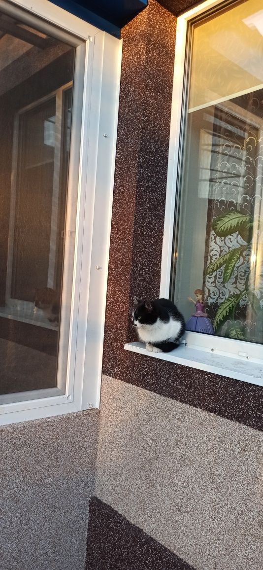 Утеплення, декоративне оздоблення