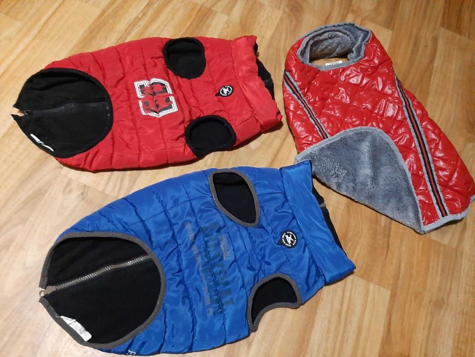 Ubranka Angielskie dla pieska