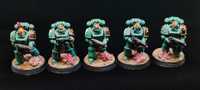 Sons of Horus tactical squad mk4