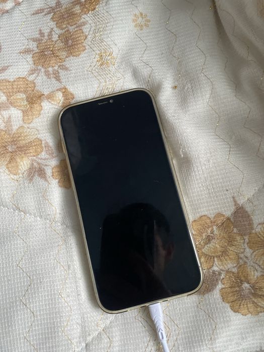 Продаю терміново iPhone 12 Pro Max все працює на 512гб