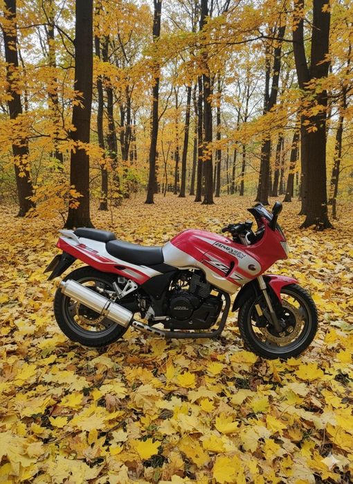 Спортивний мотоцикол Zongshen zs250gs