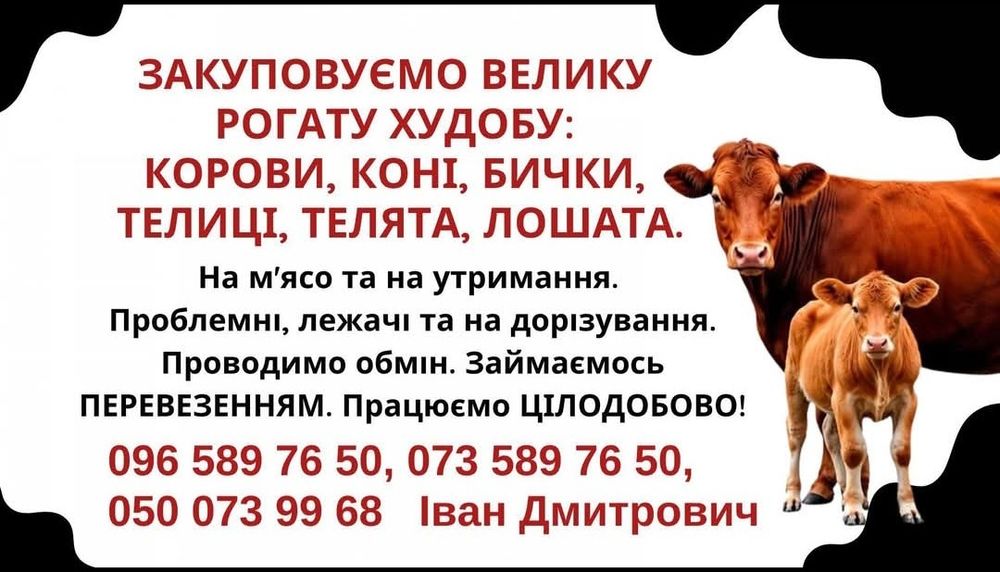 ВРХ корови коні телиці