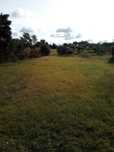 Terreno  rustico Tomar (2208 m2)