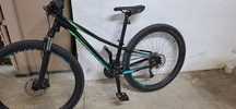Bicicleta Specialized