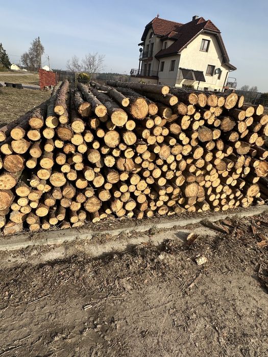 Sprzedam suchą sosnę!