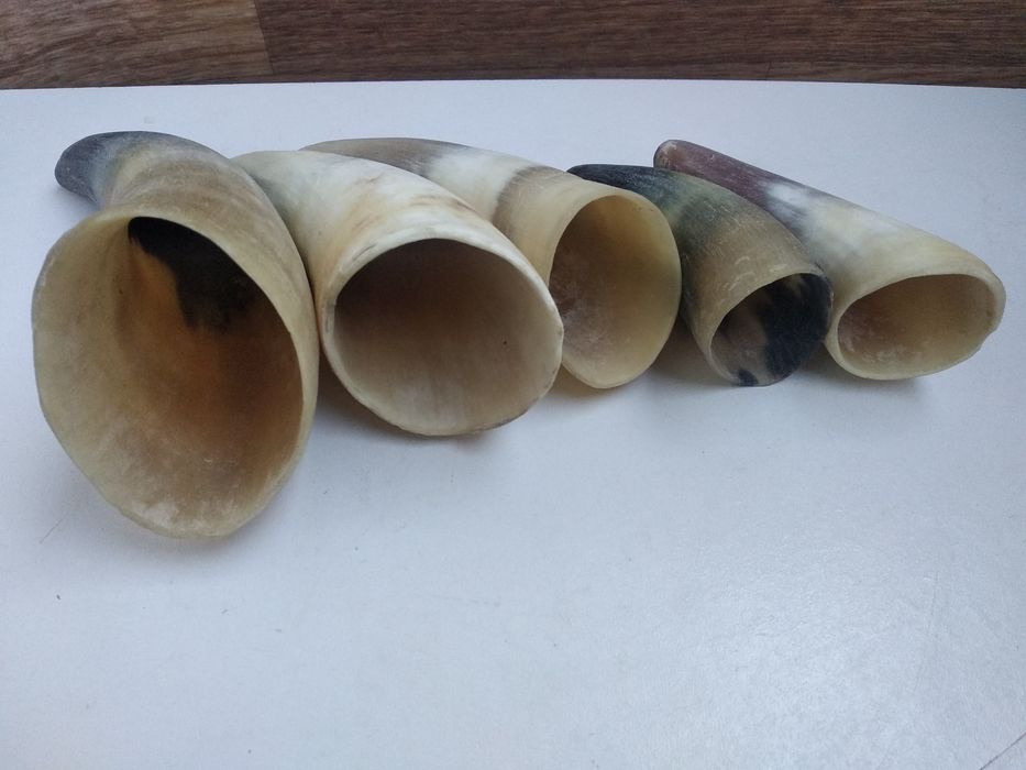 Рога натуральные