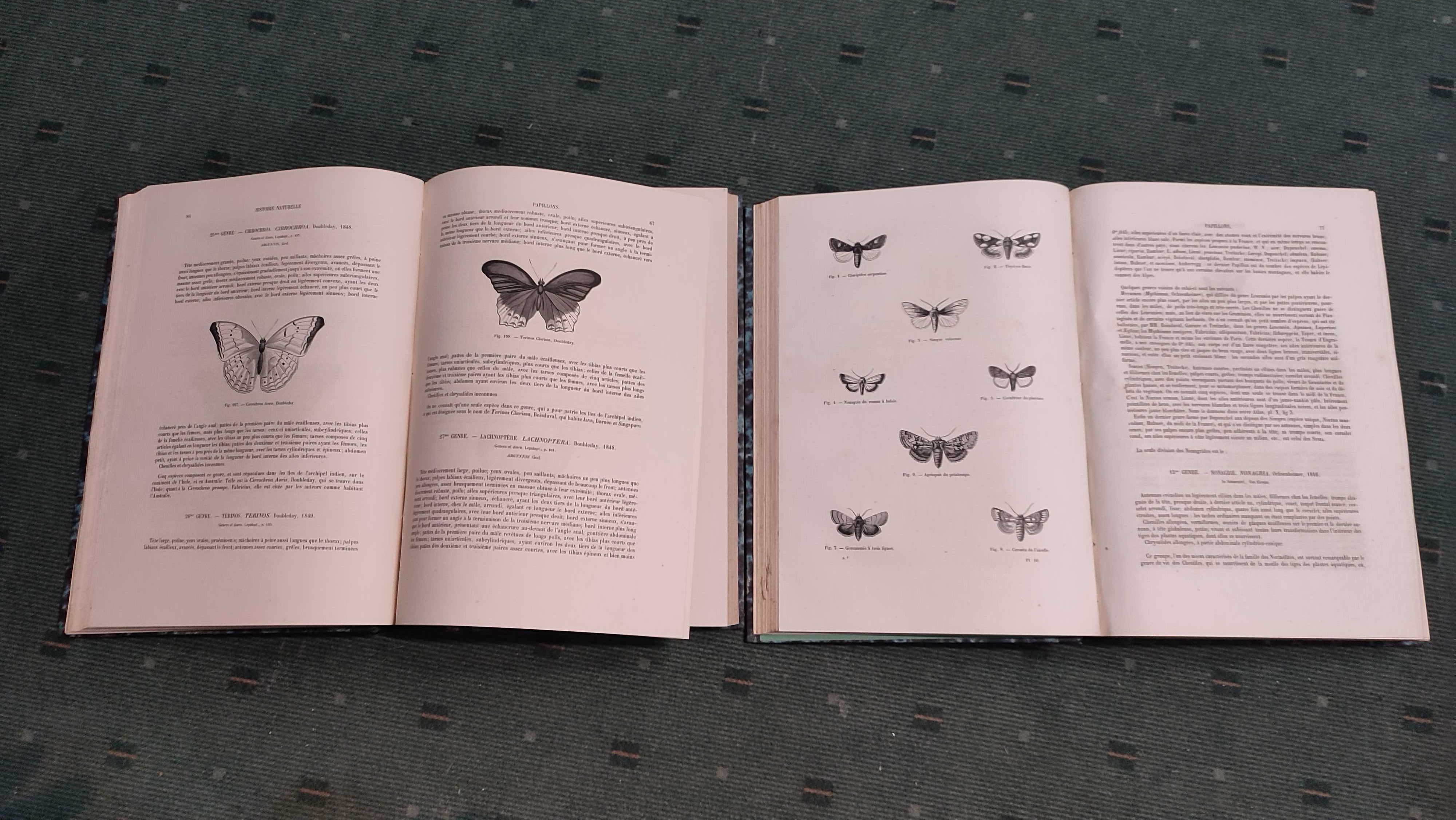 Encyclopédie D'Histoire Naturelle Traité Complet -Papillons - 2 Vol