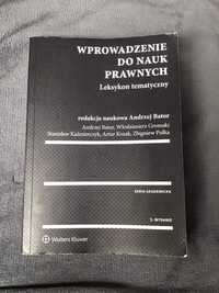 Wstęp do prawoznawstwa. Leksykon tematyczny