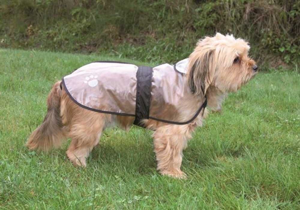 Capa Impermeável transparente para proteger o seu cão da chuva