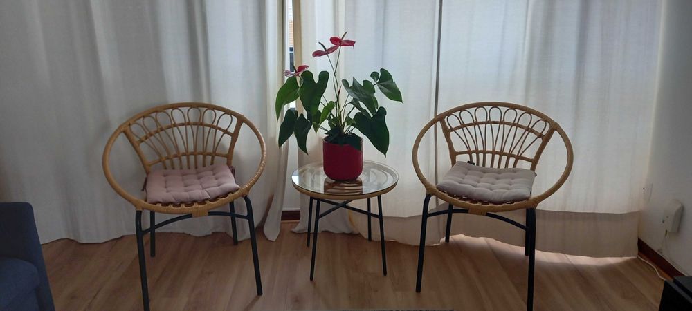 Conjunto para jardim