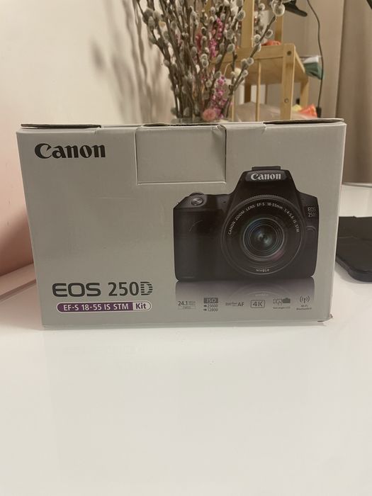 Фотоапарат Canon EOS 250D (EF-S 18-55 IS STM Kit)