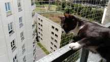 Siatka na balkon, siatka na gołębie, siatka dla kota, woliera.