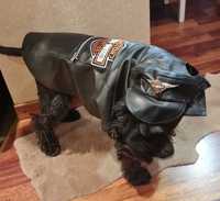 Harley Davidson  - Куртка, косуха, костюм, накидка, одежда для собак