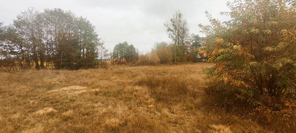 Sprzedam działkę budowlaną w Kozicach, gmina Garwolin, woj.mazowieckie