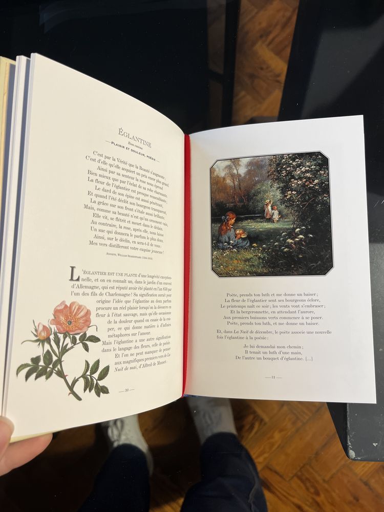 Le langage des fleurs sauvages