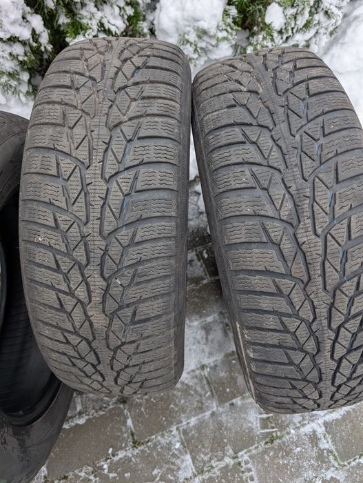 Nokian WR D4 195/65