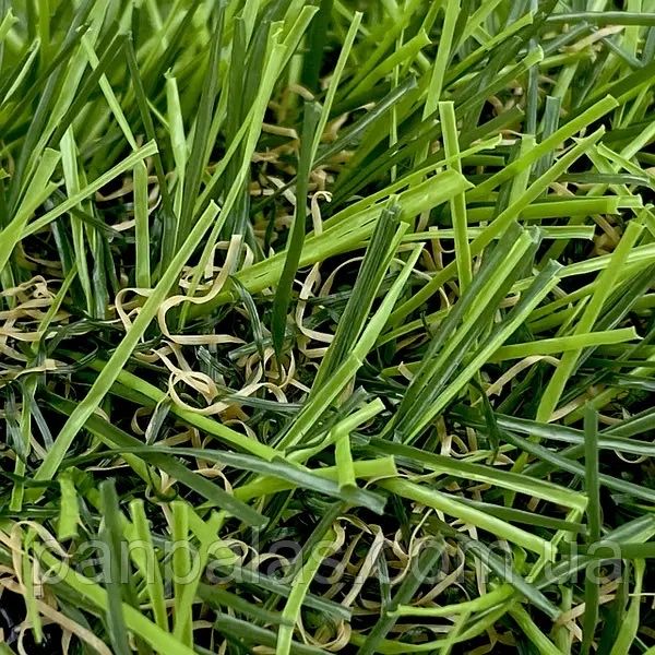Штучна трава Citygreen Sports 20 мм, штучний газон для вулиці