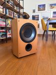 JBL XTi SUB 300 — Subwoofer ativo 12” (300 W) — Como novo