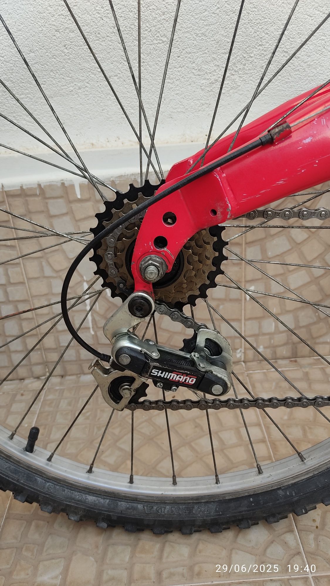 Bicicleta de montanha